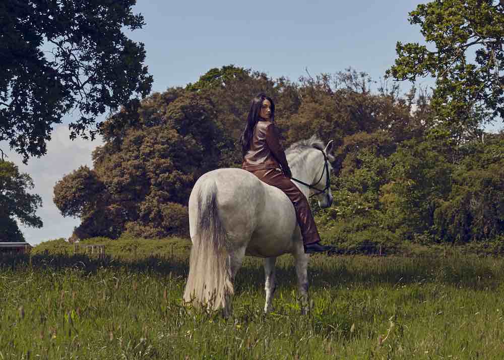 Mabel_horse (web res) - Toast Press